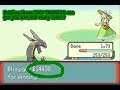 How to get over 20,000 POKEDOLLARS IN ONE BATTLE in Pokemon Emerald