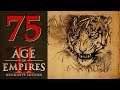 Прохождение Age of Empires 2: Definitive Edition #75 - Королевский павлин [Байиннаун-Расцвет раджей]