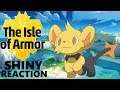 SHINY SHINX IN 536 EGGS!!| POKEMON ISLE OF ARMOR SHINY REACTION