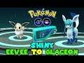 Evolving SHINY EEVEE TO SHINY GLACEON IN POKEMON GO - GLACIAL LURE