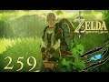 The Legend of Zelda: Breath of the Wild #259 - Kalte Schulter und Eislanze Ω Let's Play