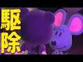 ドブネズミが家に入ってきたから駆除【あつまれどうぶつの森 罪人島の日常】
