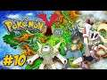 Pokémon Y #10 / Batalha Pelo Mega Ring / Ginásio / Nossa Primeira Mega Evolução