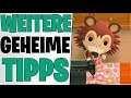 5 WEITERE GEHEIME TIPPS - Sina Desings & Bewohner Secrets | Animal Crossing New Horizons deutsch