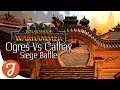 OGRE KINGDOMS Vs GRAND CATHAY || Major Settlement Battle || Total War: WARHAMMER III