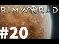 Rimworld Part #020 Expansion
