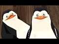 VRChat Funny Penguin