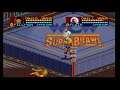 WCW Super Brawl Wrestling video game