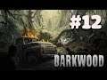 Darkwood - Ra là lạc long quân và Âu cơ có từ đây =)) #12