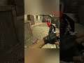 Сумел выжить до конца раунда #shorts #gameplay #fun #cs #cs:go #css #cssv34 #counter