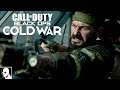 Call of Duty Black Ops Cold War PS5 Singleplayer Gameplay - Woods macht Action in der Türkei