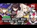 Genshin Impact: What you  need to know | Guide