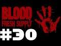 Let's Blindly Play Blood Fresh Supply Part #030 Making A Choice
