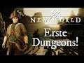 NEW WORLD [PC] ⚔️ 04 - Erste Dungeons! (ohne Cam)! ⚔️ [Server: Delphnius | Fraktion: Marodeure]