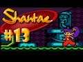 Vamos a jugar Shantae - capitulo 13 - Puzzles oculares