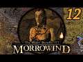 We Shut Down Sudanit Mine - Morrowind Mondays: Tamriel Rebuilt (OpenMW) #12