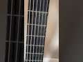 My New Strings on my Classical Guitar!