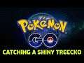 Pokémon GO - Catching a Shiny Treecko