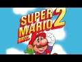 Super Mario Bros. 2 (dunkview)