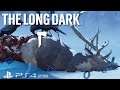 The Long Dark PS4 🌕 Der Lange weg sollte es heißen!