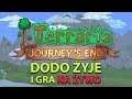 Dodo – Terraria 1.4 Journey's End | Live #7