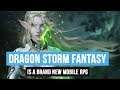 Dragon Storm Fantasy is a New Mobile RPG  (Android/iOS)