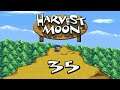 Let's Play - Harvest Moon #Part 35 - Endlich wieder Frühling
