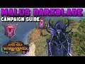 Malus Darkblade Beginner's Campaign Guide (First 20 Turns - Vortex) | the Shadow and the Blade