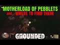 Motherload of Pebblets - Where to Find - Grounded