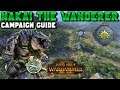 Nakai the Wanderer Beginner's Campaign Guide (Vortex) | the Hunter and the Beast