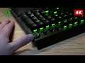 RAZER BlackWidow Elite Green Switch *gejmerska mehanička tastatura
