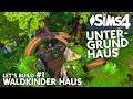 Waldkinder Haus bauen 💚 Die Sims 4 Untergrund Haus bauen | Grundriss (deutsch)