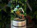 Teenage Mutant Ninja Turtless Leonardo Figure Q-Fig Quantum Mechanix