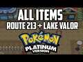 EVERY Item in Route 213 & Lake Valor - Pokémon Platinum