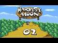 Let's Play - Harvest Moon #Part 02 - Let's Aufräum!