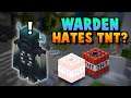 Minecraft: Why The Warden HATES TNT & 1.17 Achievements?