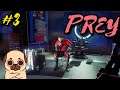 Prey Episode 3 - The Big Talk (We finally see whats on that video!)