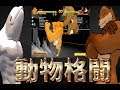 SNSで流行った筋肉動物が集結する格闘ゲーム -FIGHT OF ANIMALS【KUN】