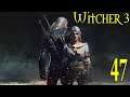 The Witcher 3 Wild Hunt Ep 47 (Practicum In Advanced Alchemy)
