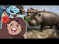 A Barrel Full of PYGMY Hippos?! 🐧 Planet Zoo: Ice Ice Outpost 2 • #30