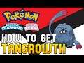 Pokemon Brilliant Diamond & Shining Pearl - How To Get Tangrowth