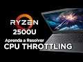 Ryzen 2500U CPU Throttling - Clock Stuck - BD PROCHOT Disable