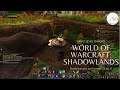 Sometimes you just have to run for it! (Let's Play World of Warcraft: Shadowlands)