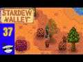 Stardew Valley | Part 37 | Blackberry Picking
