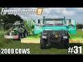 Cutting & Collecting grass with Unimog | 2000 Cows Farm | Timelapse #31 | Farming Simulator 19