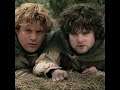 For Frodo!