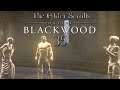 Let's Play ESO - Blackwood [Blind] [Deutsch] Part 35 - Die Griffelhalterin von Giovesse
