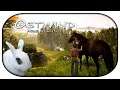 OSTWIND - ARIS ANKUNFT 🐴 01 🐇 Professionelle Tierestreichlerin