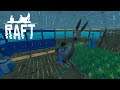 Raft | A YEAR ON THE RAFT | Day 223 | Today, we name a Llama