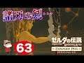 #63【Switch】ゼルダの伝説BoW ~回生の祠に戻ってみる!~